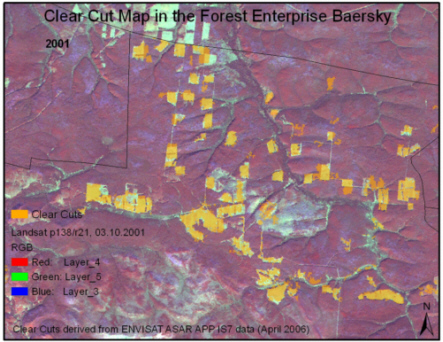 Clear cut map 2001. Click to enlarge!